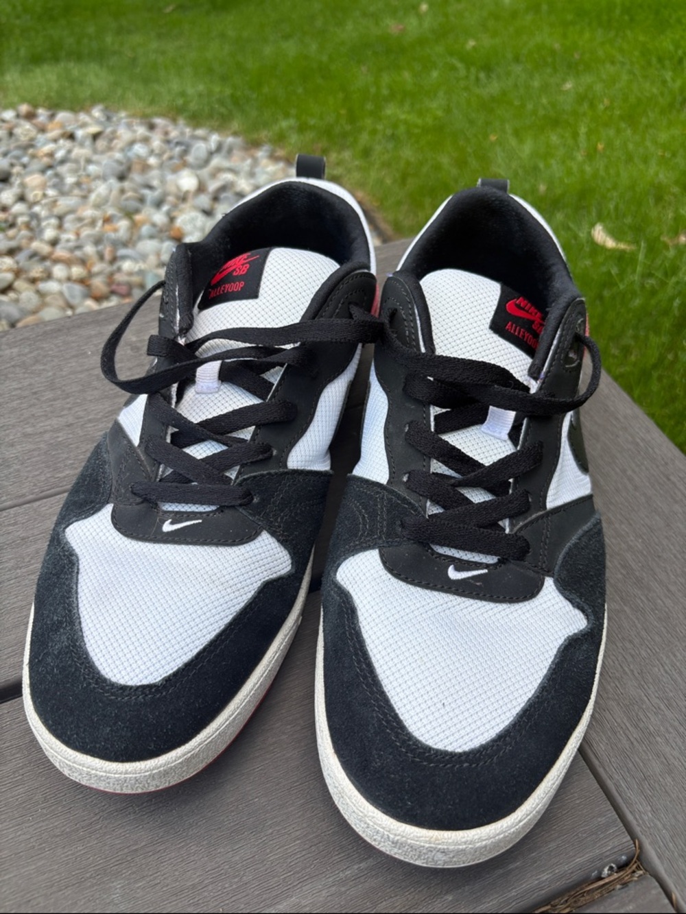 Nike SB Black and White Men’s Low-Top Sneakers with Red Logo Alleyoop 11